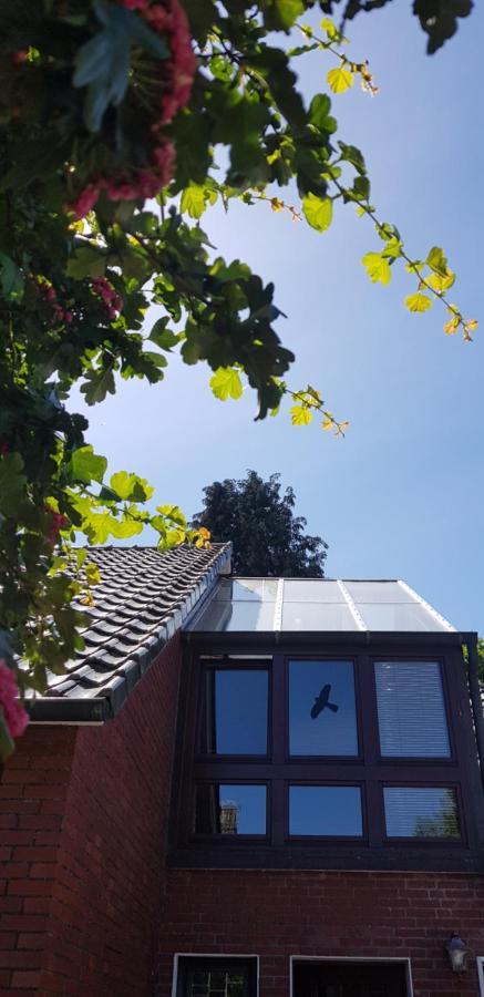 Giselas Haus Cloppenburg Exterior photo